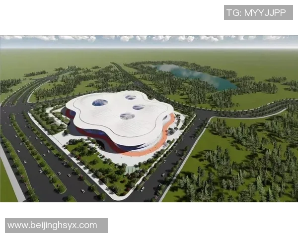 南京极限运动队现状分析与发展前景探讨 南京极限运动队现状分析与发展前景探讨