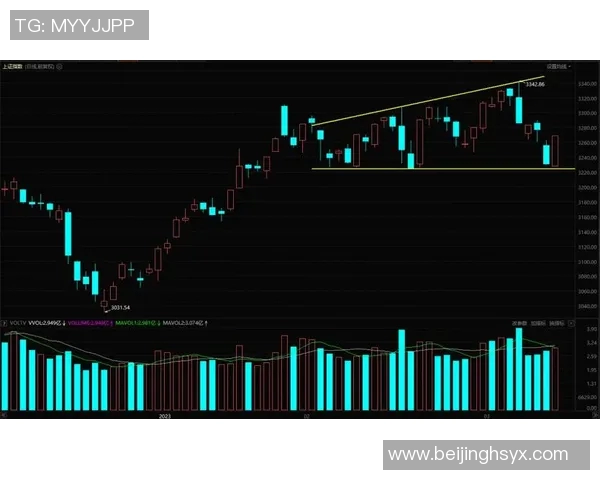 武汉篮球队与广州篮球队赛后状态分析与复盘总结