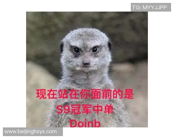 王者荣耀热议FPX技术争议引发玩家热烈讨论与思考